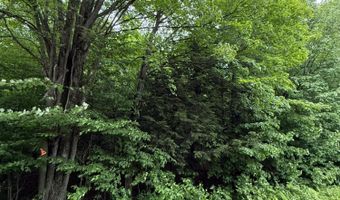 On TOBIAS RD, Antigo, WI 54409