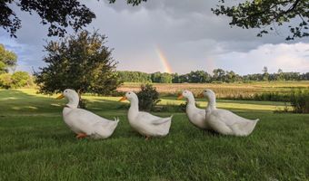 15900 28 Mile Rd, Albion, MI 49224