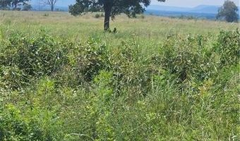 8468 Cambridge Rd, Altus, AR 72821