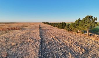 County RD KK5, Akron, CO 80720