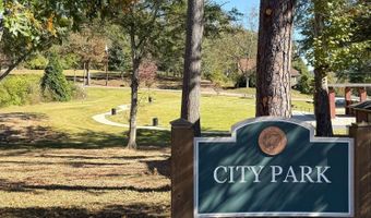 255 Lowry St, Ball Ground, GA 30107