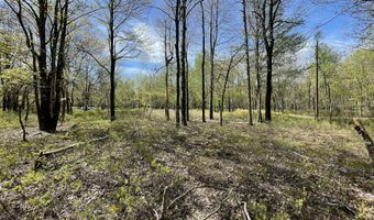 Forest Hill Drive, Blakeslee, PA 18610
