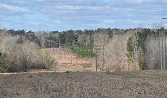 1111 Mount Olive Rd SE, Bogue Chitto, MS 39629