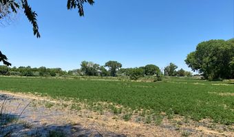 900 Calkin / Rice Rd, Fallon, NV 89406