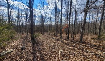 Hickory Flats Road, Ava, MO 65608
