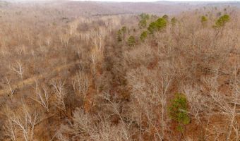 County Road 19-A, Alton, MO 65606