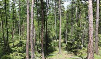 Nhn Black Wolf Trail, Bigfork, MT 59911