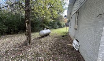 4 Co Rd 325, Big Creek, MS 38914