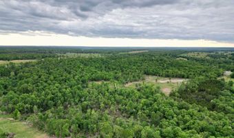 3968 HWY 167, Ash Flat, AR 72513
