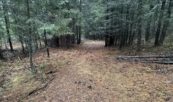 13150 E BUNCO Rd, Athol, ID 83801