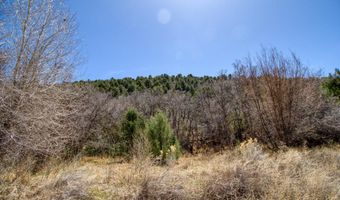 10 18 Acre South Fork North Creek Rd, Beaver, UT 84713