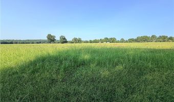 Hwy 307 lot 0, Belleville, AR 72824