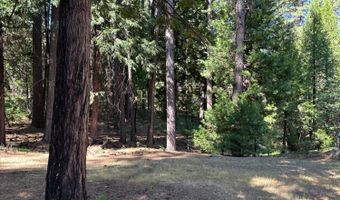 2142 El Dorado Dr, Arnold, CA 95223