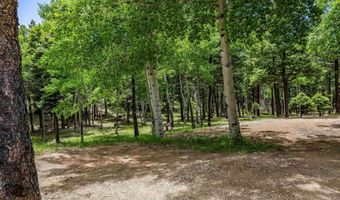 59 Palo Flechado Ridge Rd, Angel Fire, NM 87710