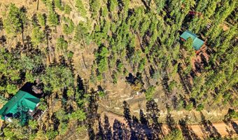 12 W Pergatory Dr, Alpine, AZ 85920