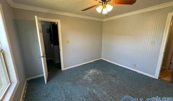 224 Dunn Dr, Albertville, AL 35950