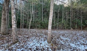 621 Round Top Rd Lot 3B, Almond, NC 28702