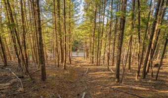 El Camino Real lot 35, Angel Fire, NM 87710