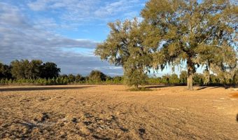 5215 SW 125TH Cir, Archer, FL 32618