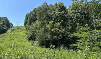 18781 Private Drive 1145, Ava, MO 65608