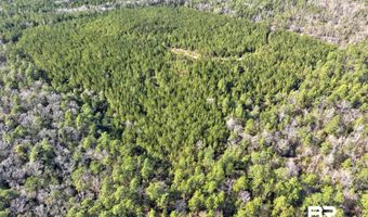 Jones Lane, Bay Minette, AL 36507