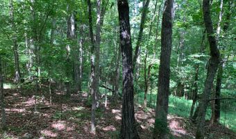 Brookside Drive, Abbeville, SC 29620