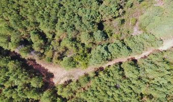 0 CR 320, Big Creek, MS 38914