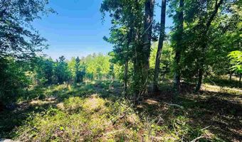 Grants Mill Rd W, Bennettsville, SC 29512