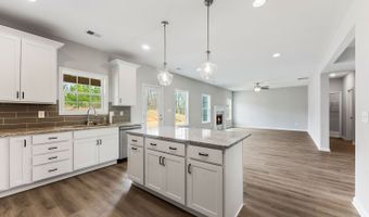 Bill Dorn Road Plan: Camden, Appling, GA 30802