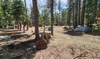 99 Monty Wolf Rd, Bear Valley, CA 95223