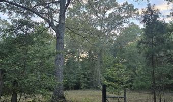 5311 LAMBERT, Bauxite, AR 72011