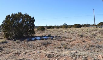 Weagley Road lot 5, Bluewater, NM 87323