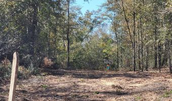 Tommy Tucker Road lot 2, Altha, FL 32421