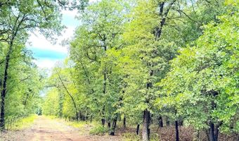 Tbd Dude Lane, Millsap, TX 76066