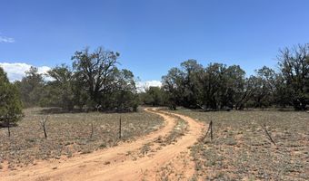 61 Norma Nw4 Rd, Ash Fork, AZ 86320