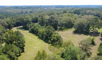 0 Christi Smith Rd, Andalusia, AL 36421