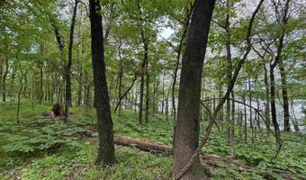 Tract 1 East Bay Road, Atkins, AR 72823