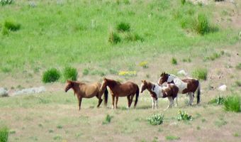 Secret Springs, Gerlach, NV 89412