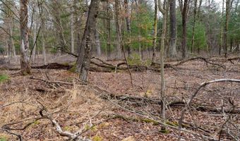 Dover Drive lot 1 14 Ac, Adams, WI 53910