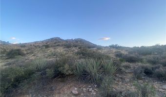 000 Canyon View Cv, Hackberry, AZ 86411
