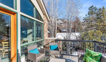 990 E Hopkins Ave, Aspen, CO 81611