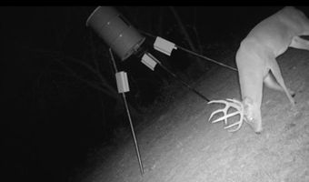 2011 County Road 1590, Alvord, TX 76225