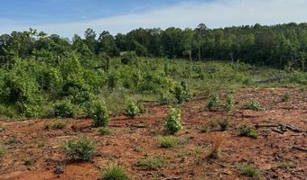 HWY 9, Banner, MS 38913