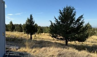 Old Coyote Ct, Alturas, CA 96101