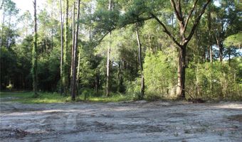 15821 SW 50TH Ave, Archer, FL 32618