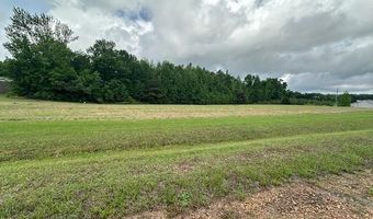 PEAR BLOSSOM Ln, Adamsville, TN 38310