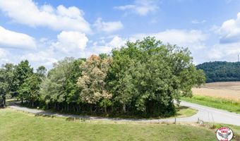 0 Roy Grider Rd, Albany, KY 42602