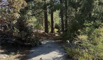 0 Ca-38, Angelus Oaks, CA 92305