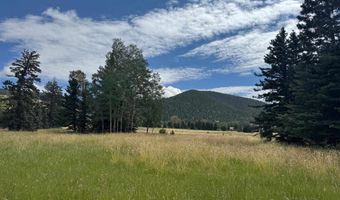 El Camino Real lot 80, Angel Fire, NM 87710