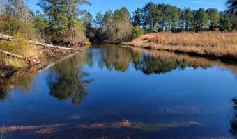 TBD Hwy 385 & Family Farm Rd, Bennettsville, SC 29512